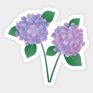 Two Hydrangea flowers with a few leafs Sticker